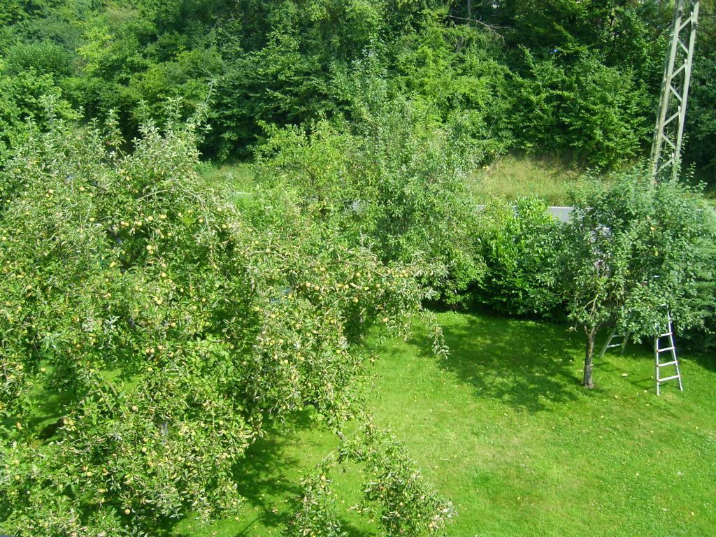 Ferienwohnung Leichlingen Rum bild